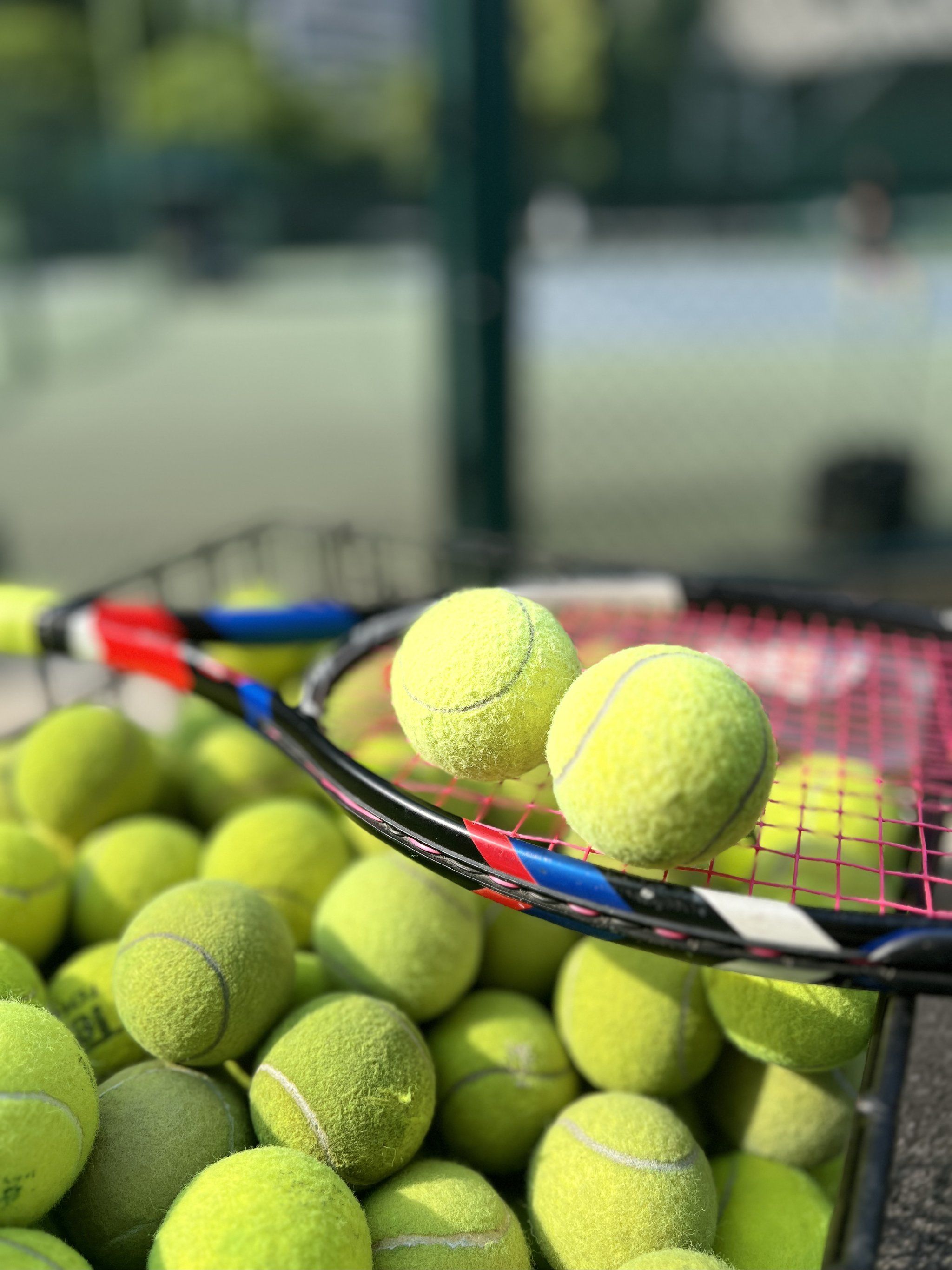 在未来的比 在未来的比