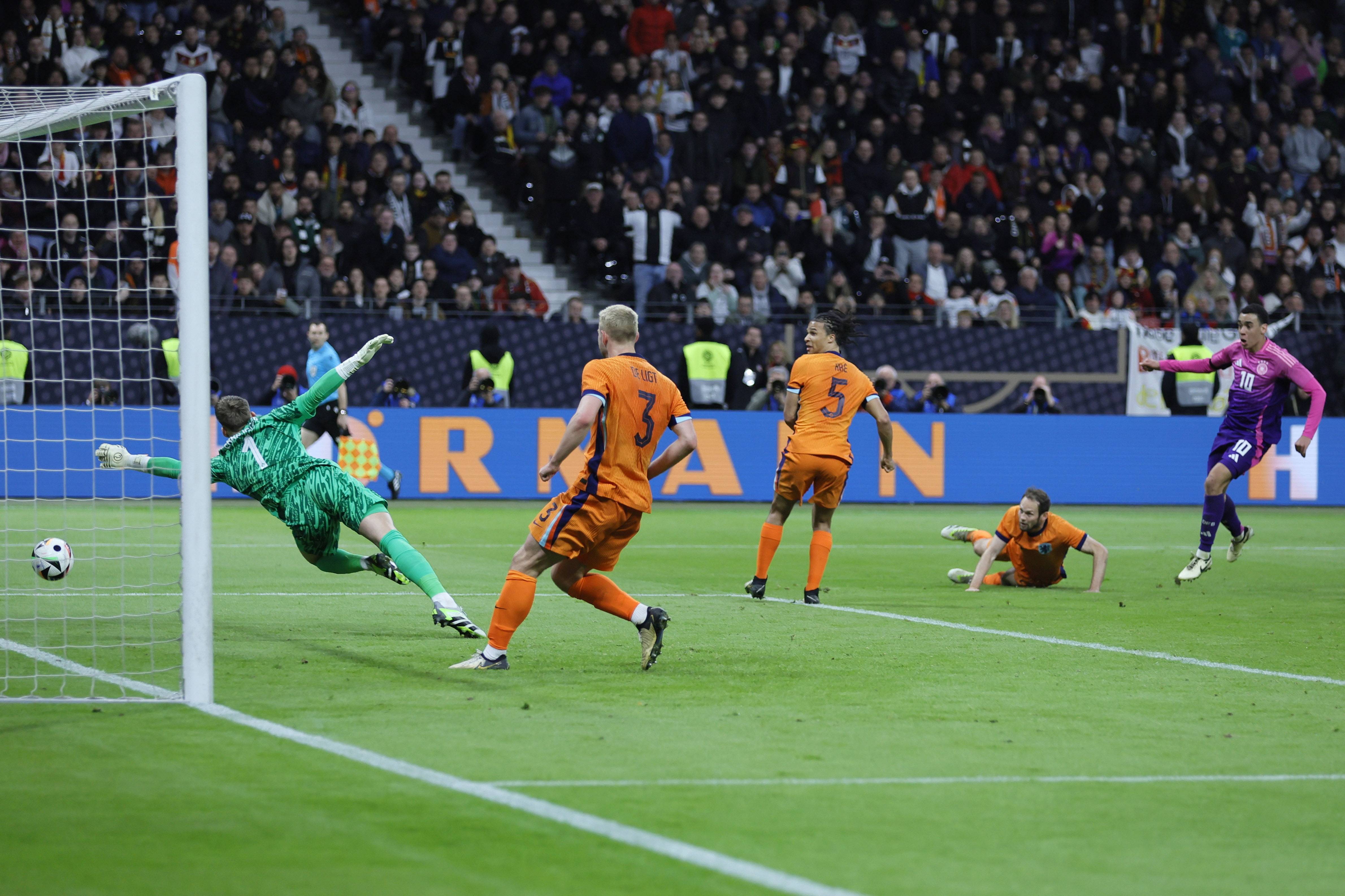 种大型的节 种大型的节